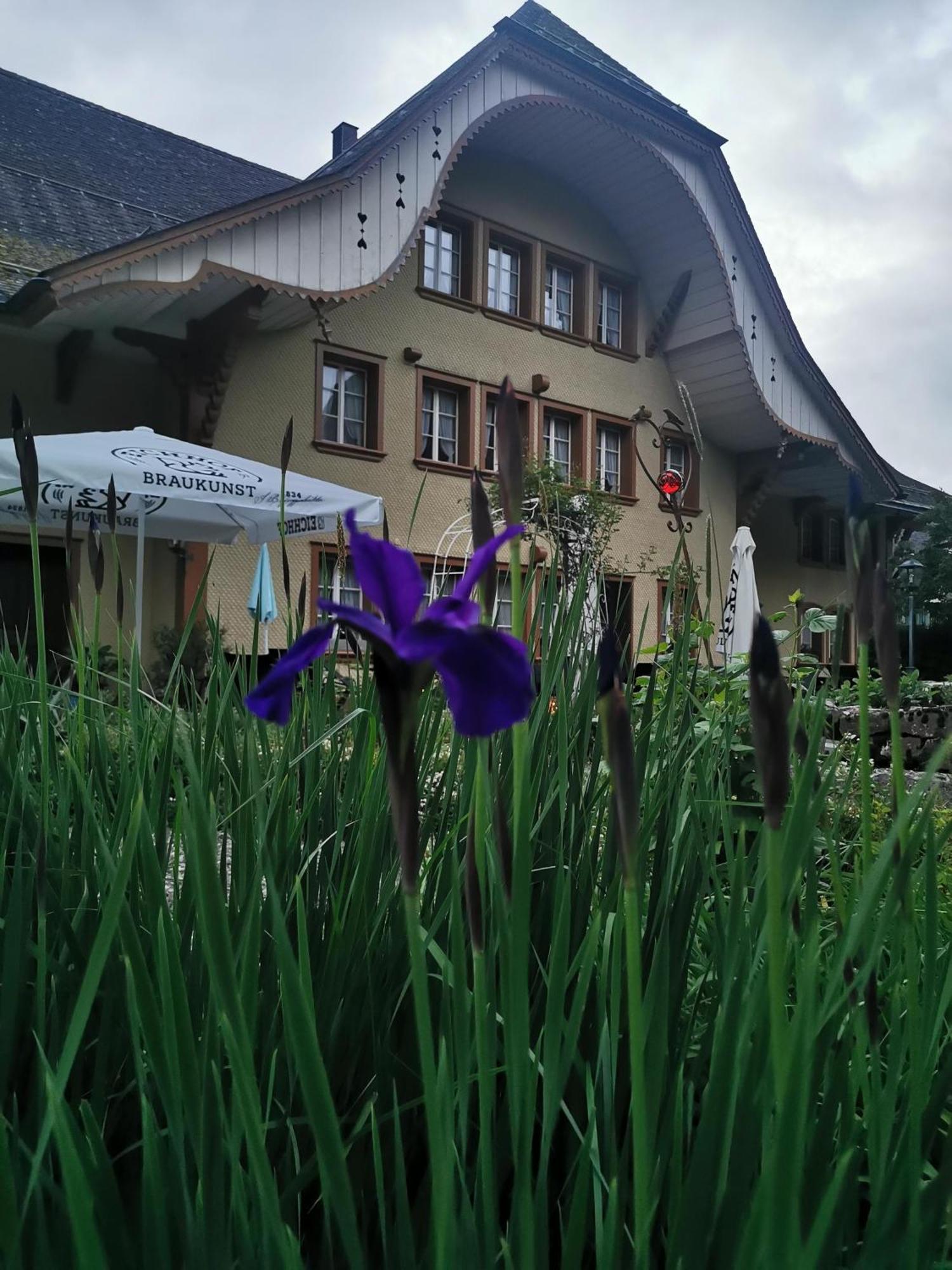 Gasthof Kreuz Marbach Екстериор снимка