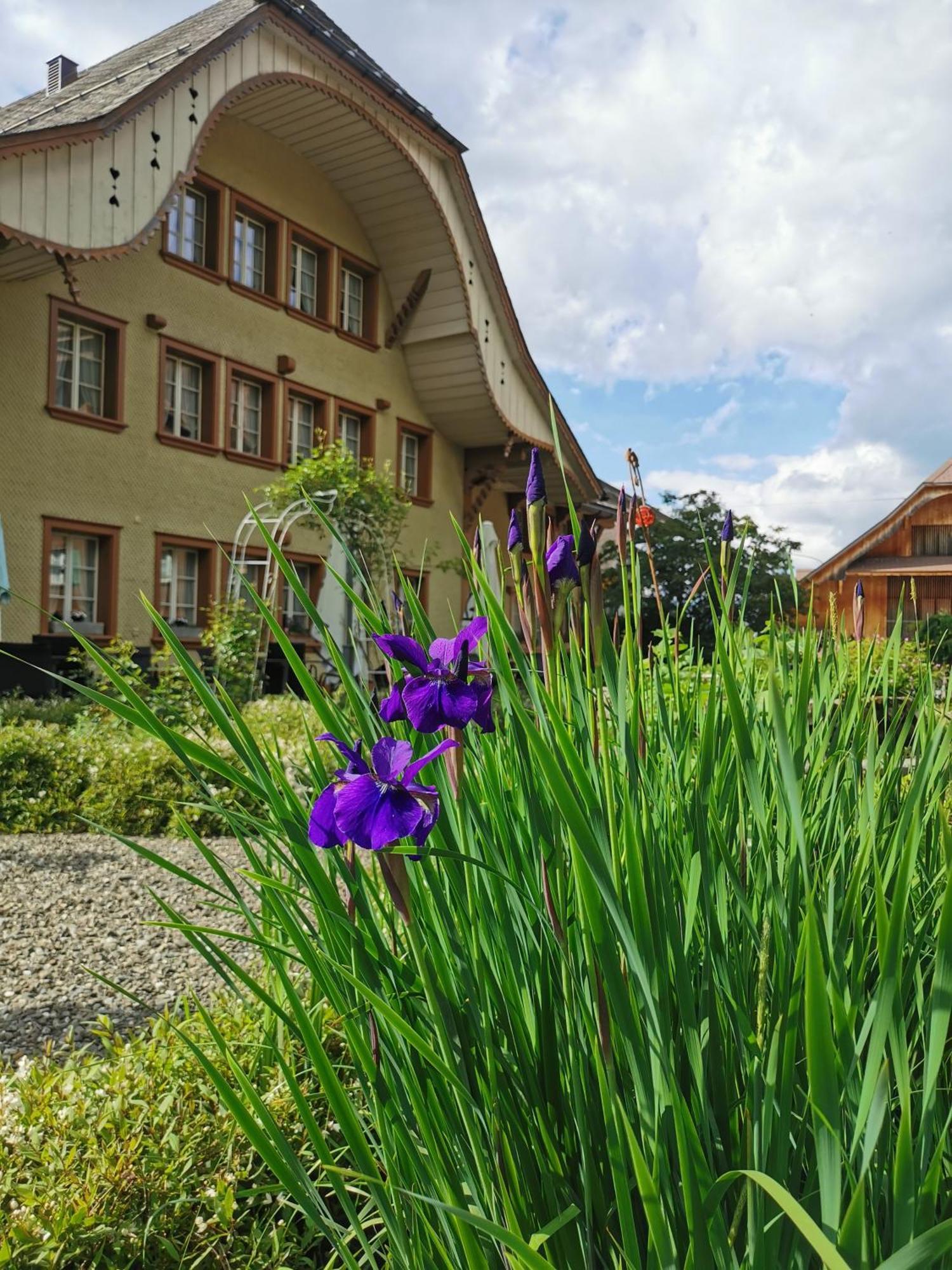 Gasthof Kreuz Marbach Екстериор снимка