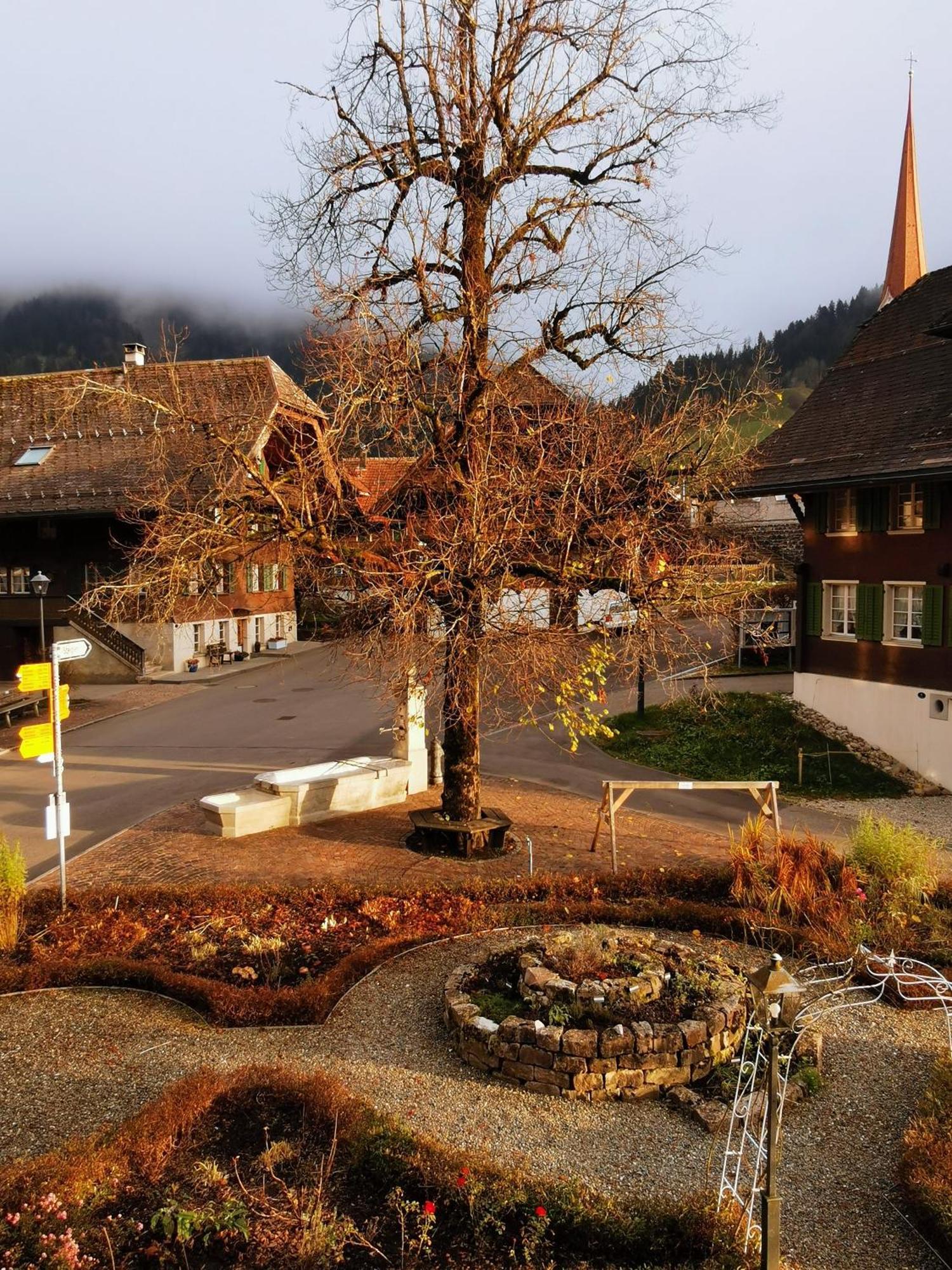 Gasthof Kreuz Marbach Екстериор снимка